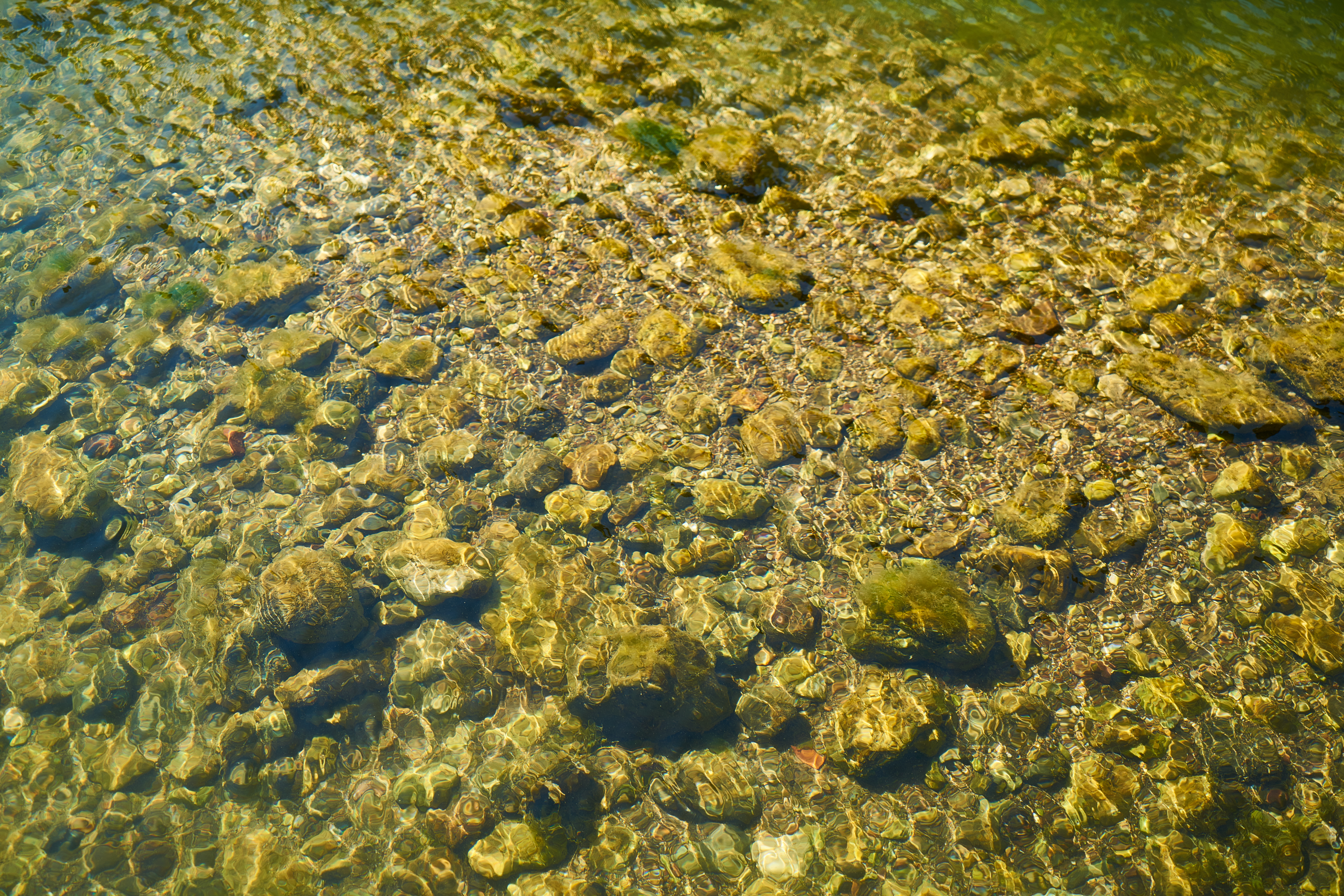 Meram Çevre Sediment (Dip Çökeliği), Tortu Analizi
