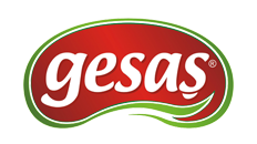 Logo Gesaş